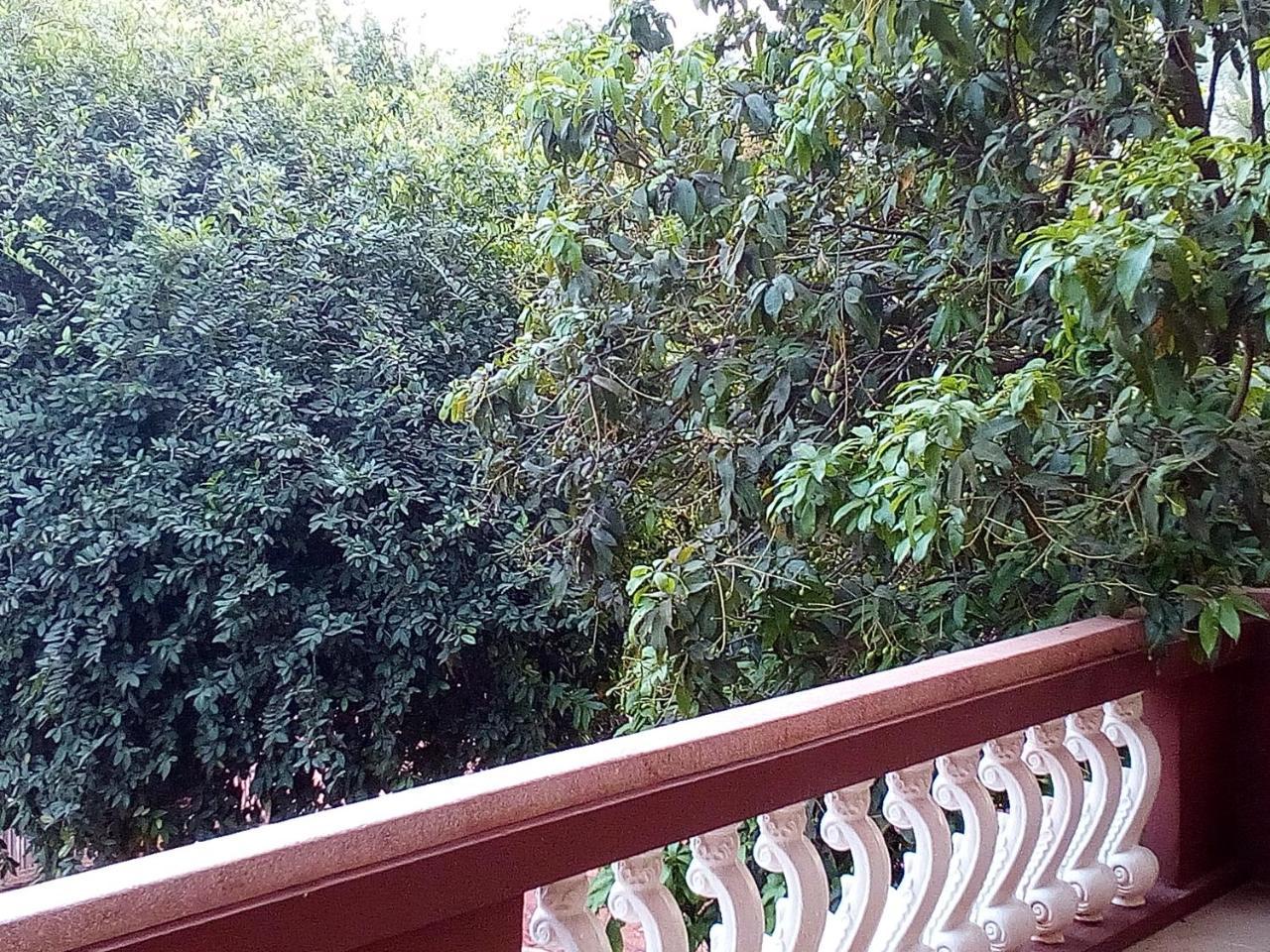 Mango Villa 暹粒 外观 照片
