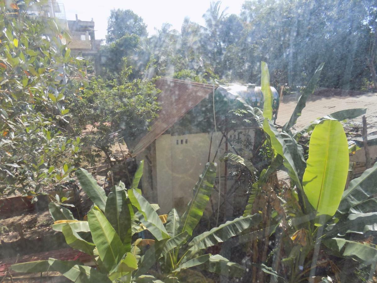 Mango Villa 暹粒 外观 照片